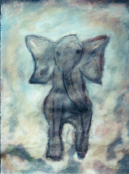 Elephant-etc